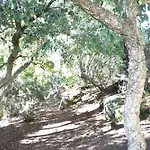Of 35m At 450m From The *