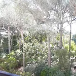 Of 35m At 450m From The * Saint-Raphaël