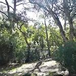 Apartamento Of 35m At 450m From The *